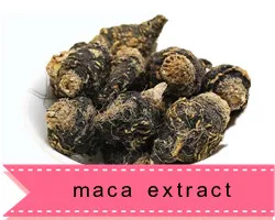 1 maca extract.jpg