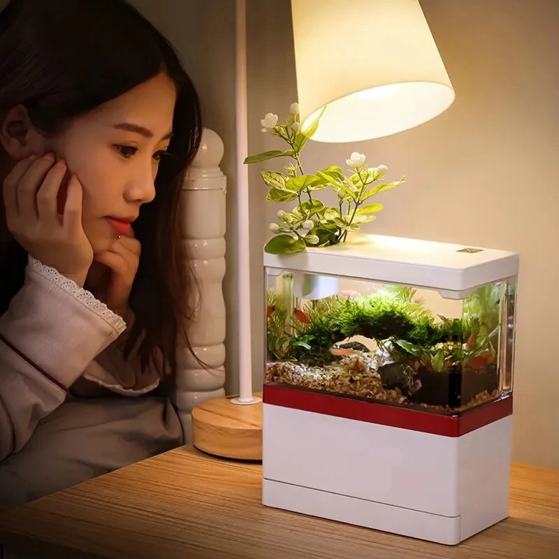 

Zaohetian Simple Fashion Aquarium LED Colorful Lamp Display Acrylic Fish Tank With USB