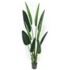Indoor or outdoor natural touch artificial 1-5m artificial banana tree export from China