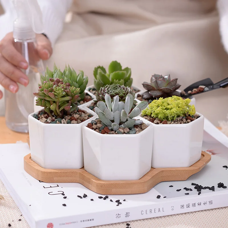 

Flower Plant Pot with Bamboo Tray for Indoors, Outdoor Office Home(Hexagon)