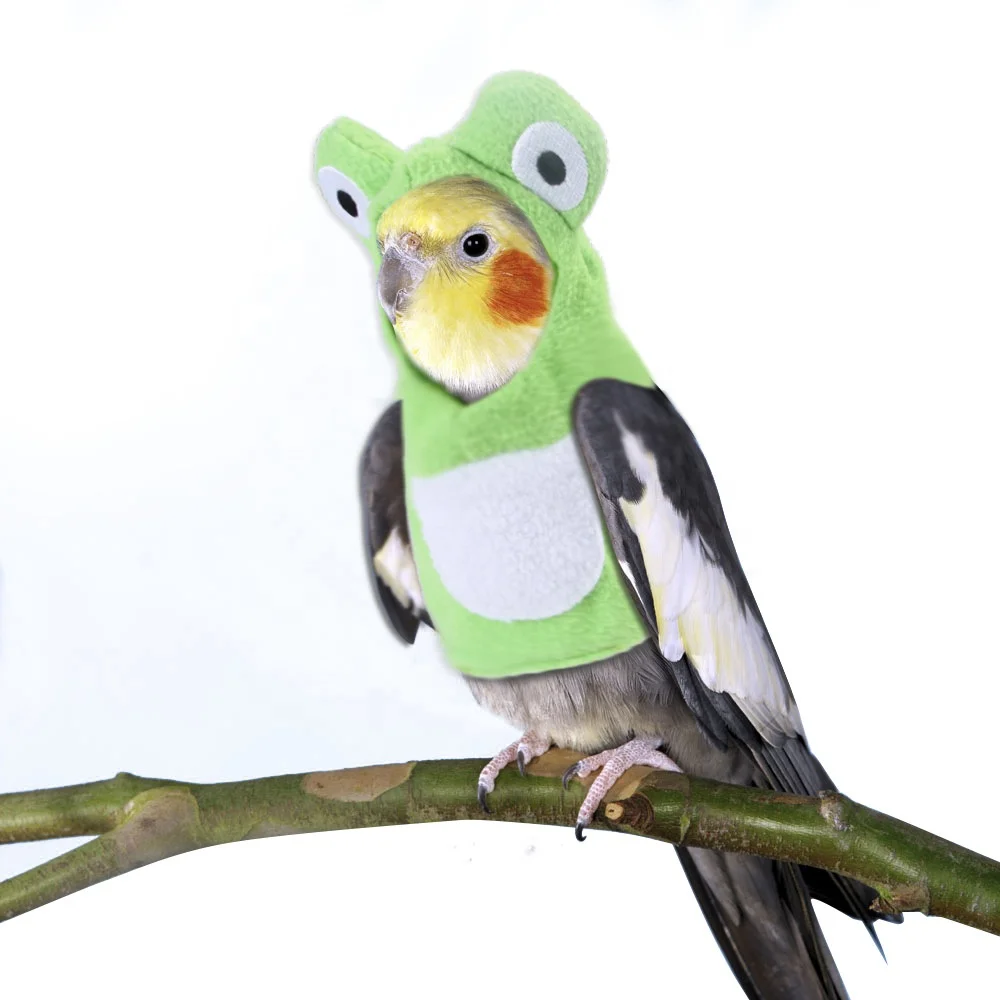 Wholesale Luxury Summer Pet Bird Clothes Cute Frog Cosplay Costume for Pigeon/Cockatiel/Parrot Hoodie