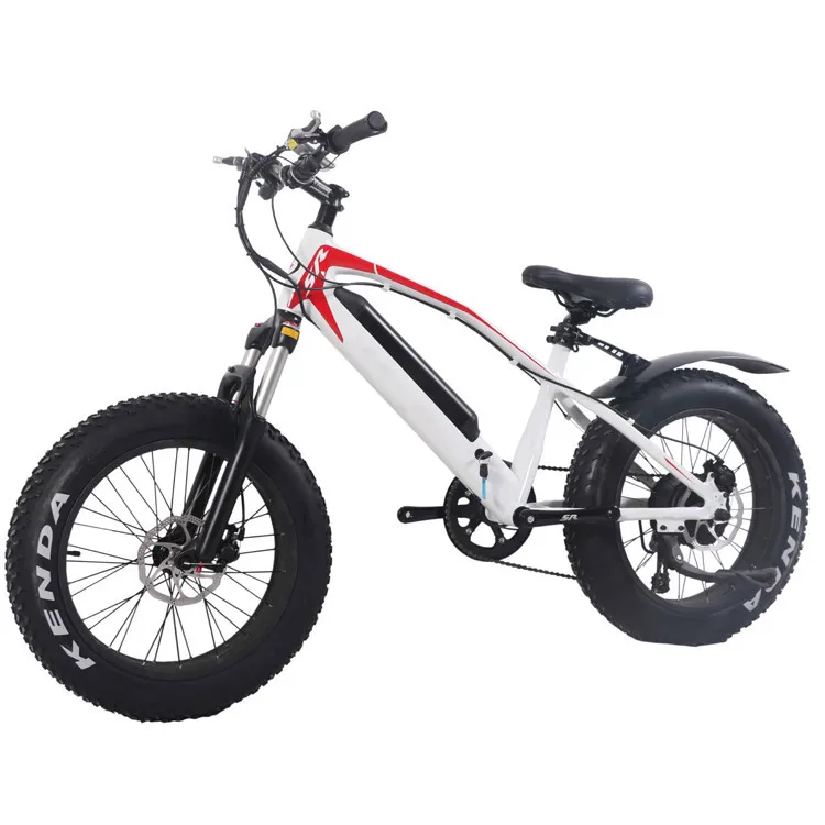 best e bike companies