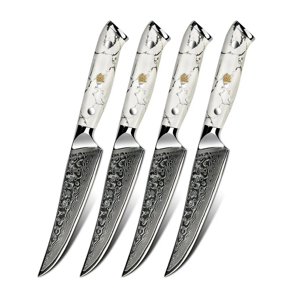 

Professional 4pcs Damascus Steel Blade Steak Knife Set With Ergonomic White Turquoise Stone Handle