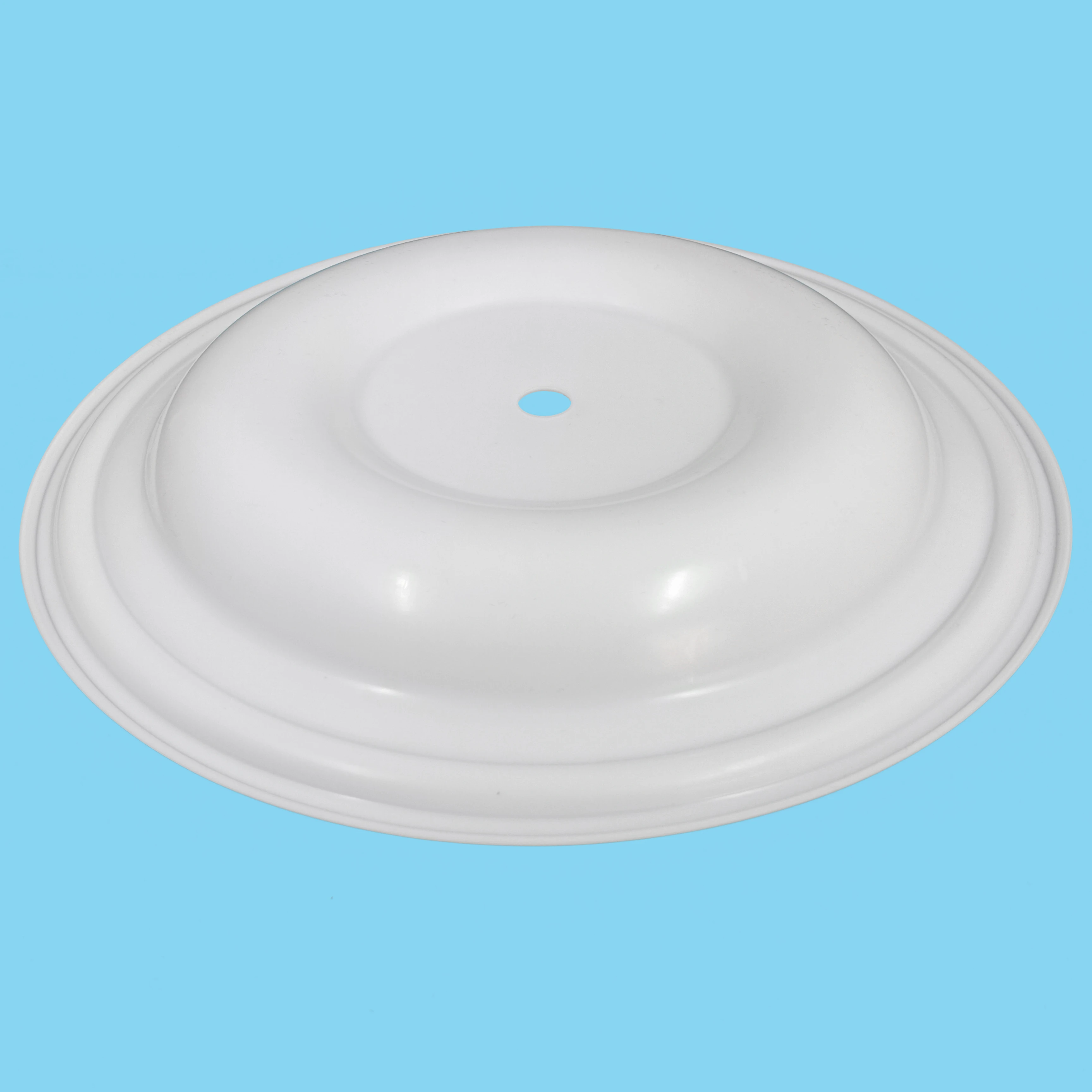  CFV163TF PTFE  diaphragm details