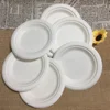 Ready to ship sugarcane pulp Biodegradable plate disposable paper plate tray cake dishes