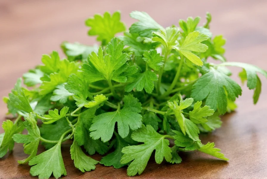 Best Substitutes for Coriander: Fresh and Seed Alternatives