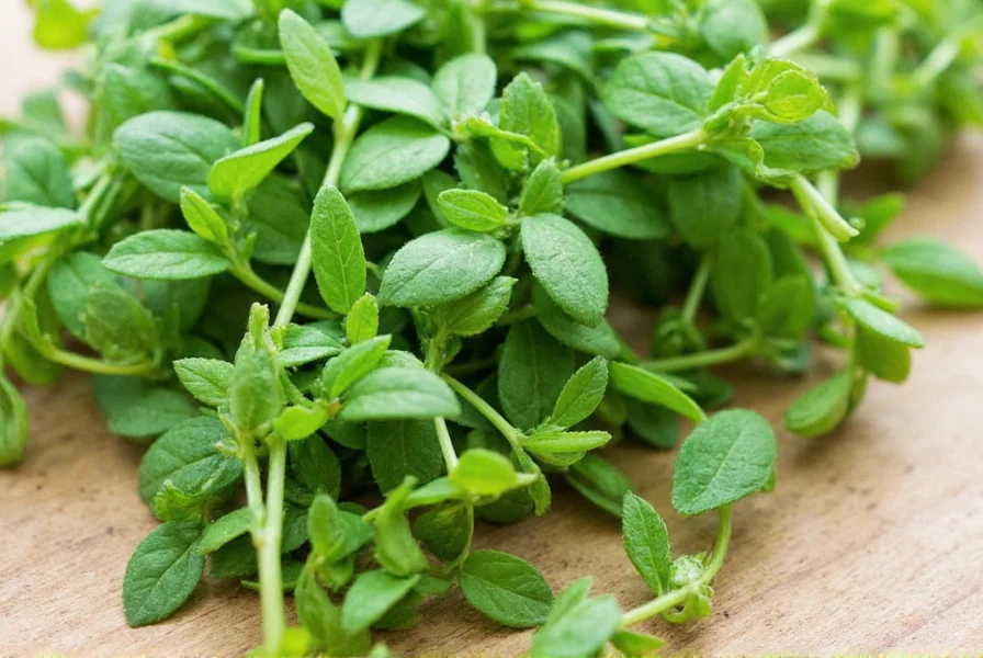 marjoram magic 7 ways this herb can transform your dishes