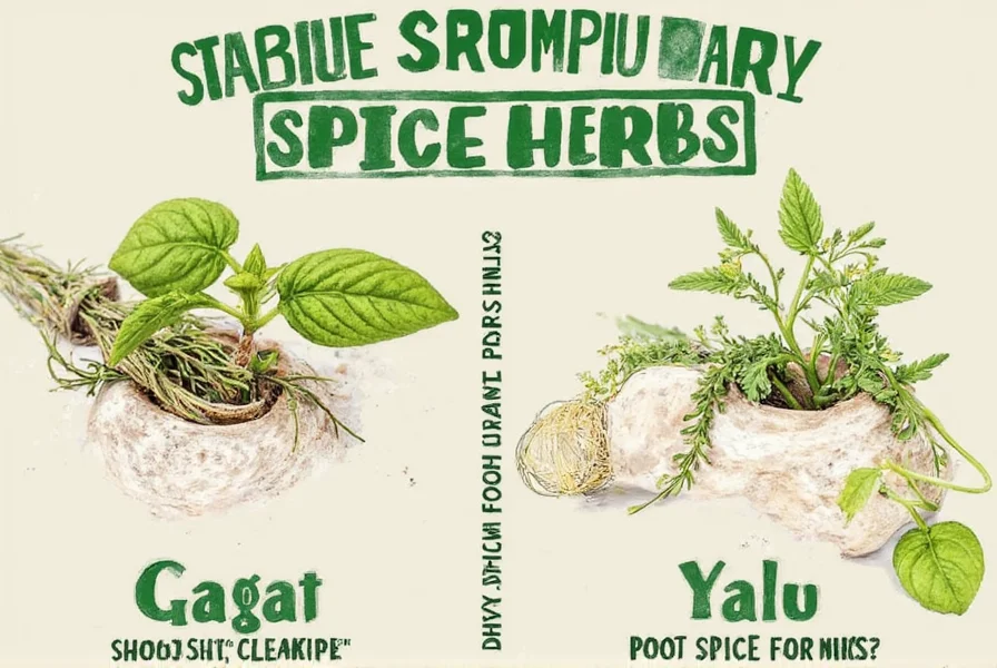 Fresh herb salad with colorful ingredients