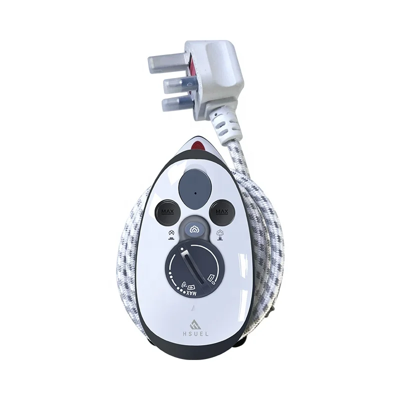 
Portable Mini Travel Steamer Worldwide Steam Iron With Dual Voltage 