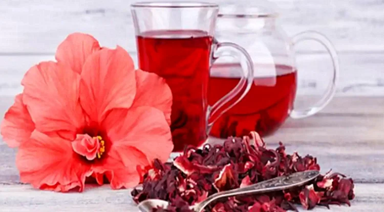 High Quality Organic Hibiscus Sabdariffa L. Hibiscus Flower Extract ...