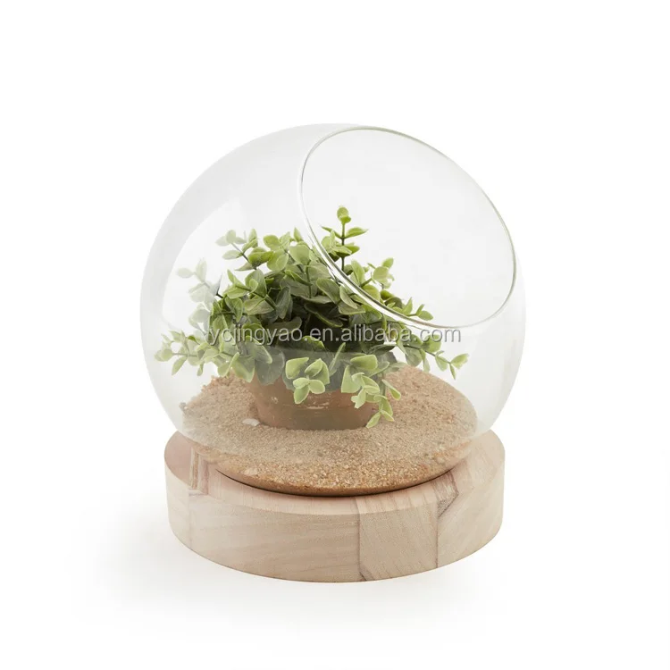 

Decorative Clear Glass Ball Vase Terrarium with Wooden Base