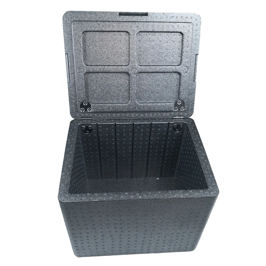 

2020 best selling good heat resistance Light weight non-toxic EPP foam delivery cooler box, Customized color