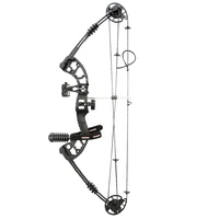 

DS-A1019 China manufacturer customized 40-70lbs draw weight compound bow 40-60lbs adjustable hunting 30-80lbs arrow