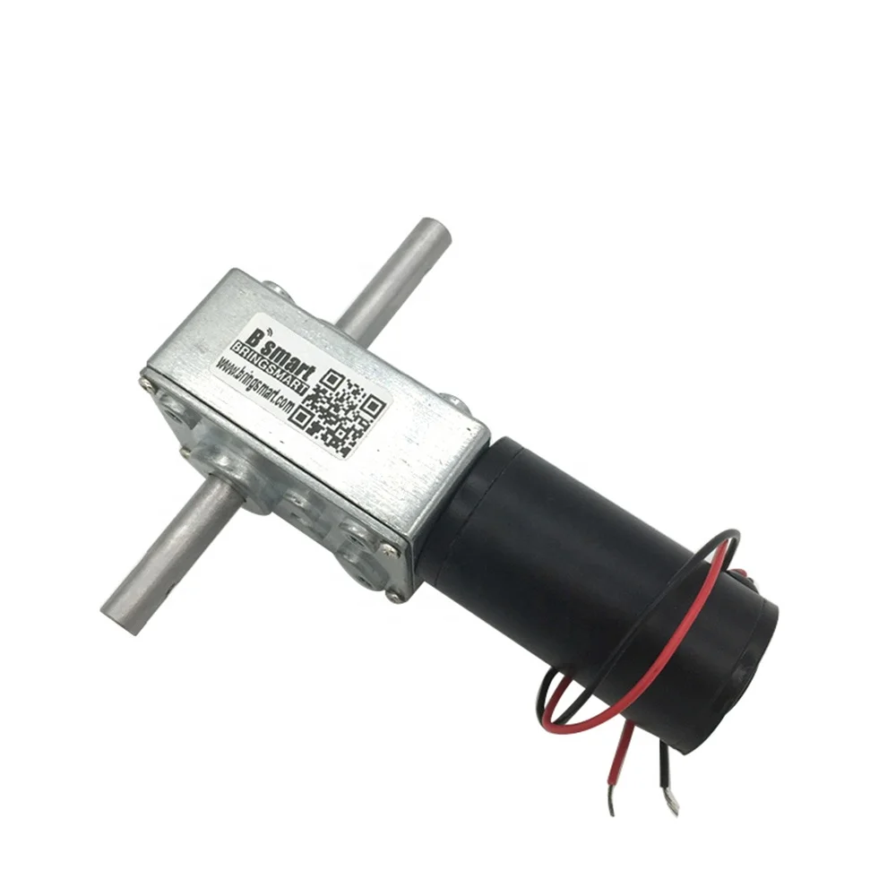 Bringsmart 24v Dc Worm Gear Motor 584031zy Double Shaft 12v Dc Motor