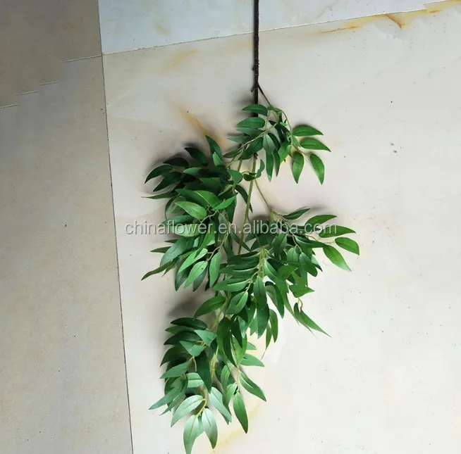 willow leaf  (6).JPG