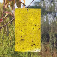 

FULL SIZE Outdoor yellow blue glue board fly trap catcher uv mosquito fly glue trap paper sticky fruit fly trap