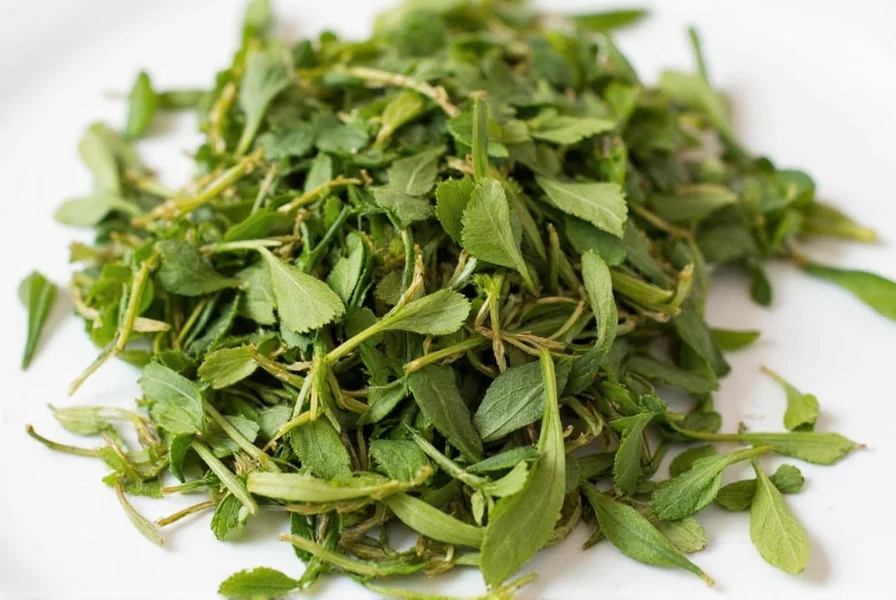 Dried Cilantro in a Jar