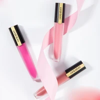 

Free Shipping lip gloss set private label brillo labial long lasting waterproof lip tint Best Selling