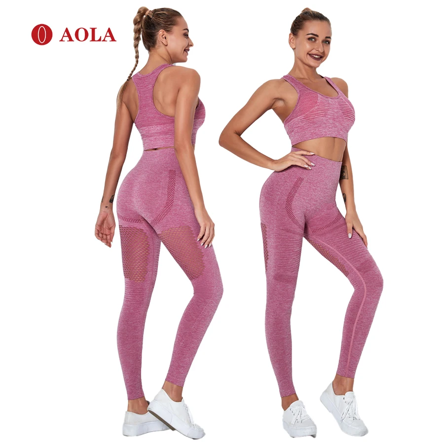 

AOLA Sweat Pants Women Bra Brief 2 Piece For Activewear Bodysuit Athletic Apparel High Waisted Yoga Sets, Pictures shows