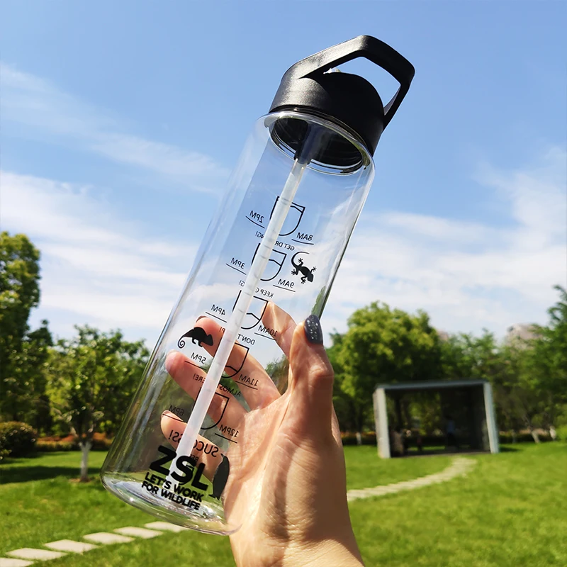 

BPA free 500ml BPA Free Custom Plastic Water Bottle with lid OEM Customized, Customized color