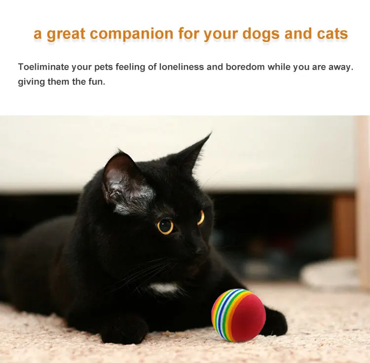 cat-ball--_02.jpg