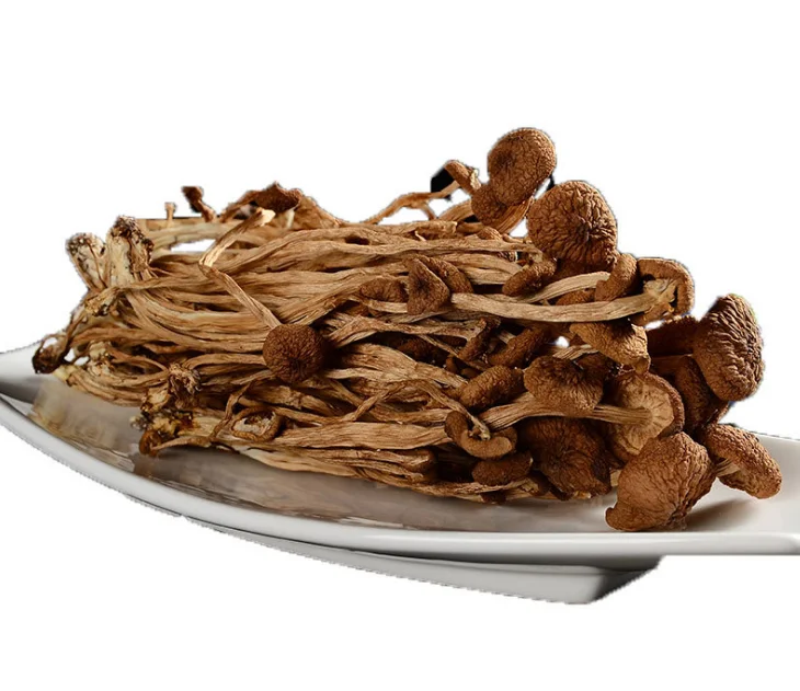 
Market Price Agrocybe Aegerita Tea Tree Mushroom 