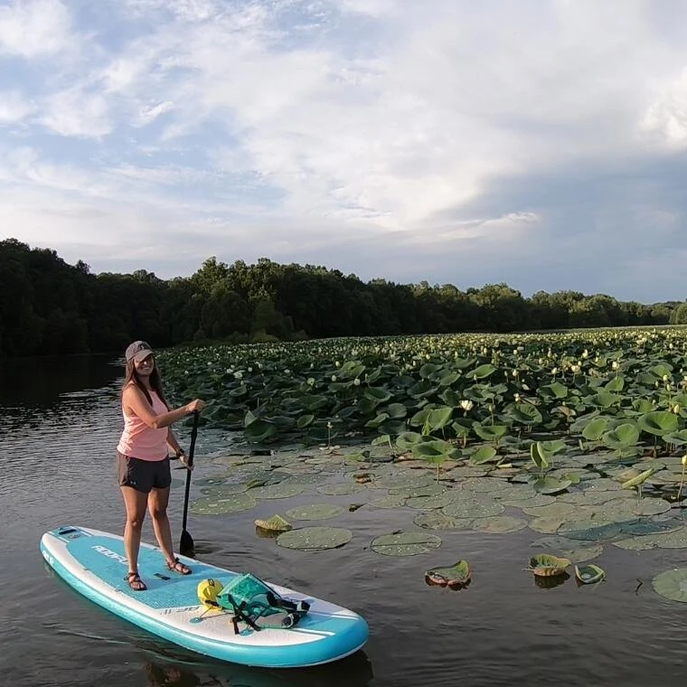 

Popular Water Sport Tools Foldable Paddle Board Inflatable Stand Up Paddle Board Paddle Surf, White