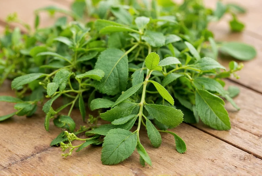 Clove Herb: Benefits, Uses, and Safety Facts