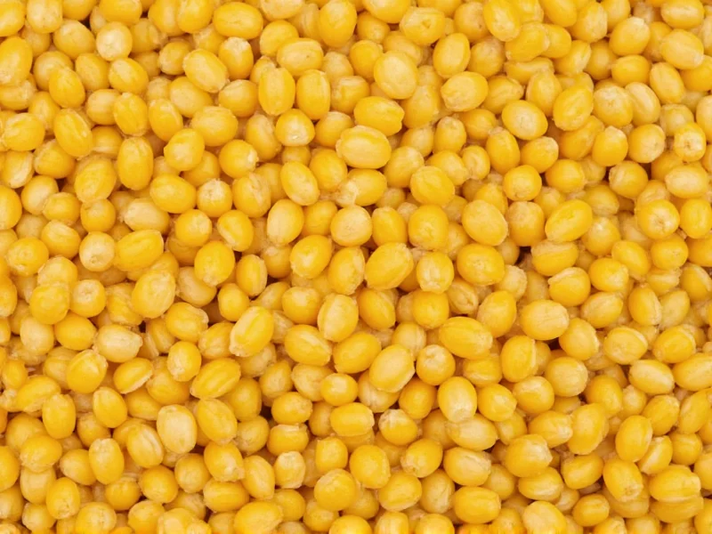 Yellow Lentils: Complete Nutritional Guide & Cooking Tips