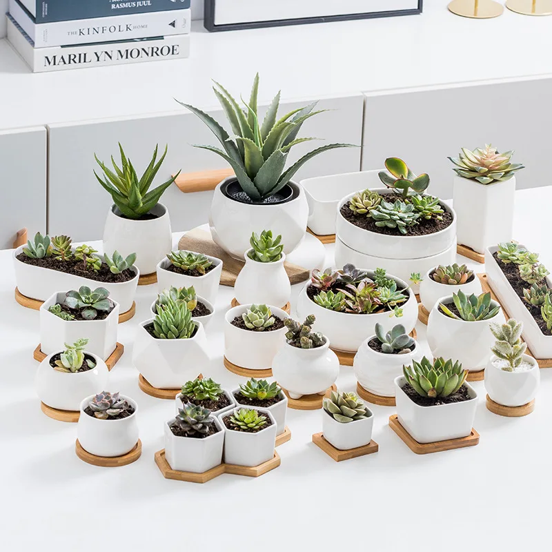 

Home Decoration Flower Pot Indoor White Succulent Pots Planter Small Ceramic Pot