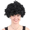 Free sample promotional large Afro kinky curly hair wig football Sports Fan Crazy Party fireproof Synthetic Afro Wigs for world