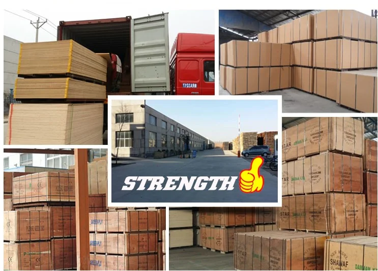 trendy film faced plywood