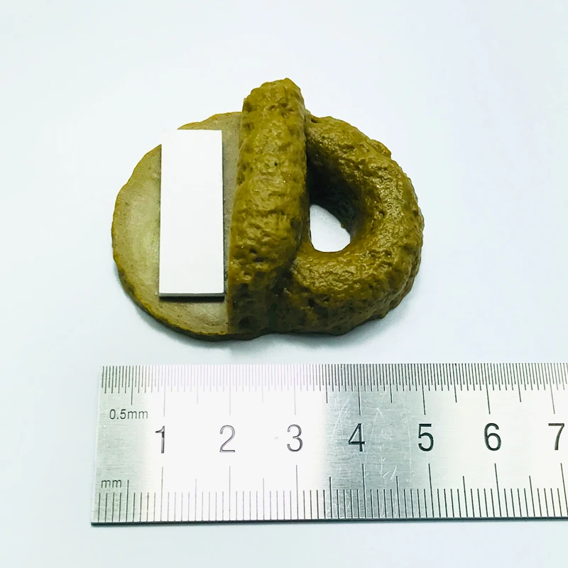 
Funny Novelty Joke Item Stepping on Dog Shit oops 