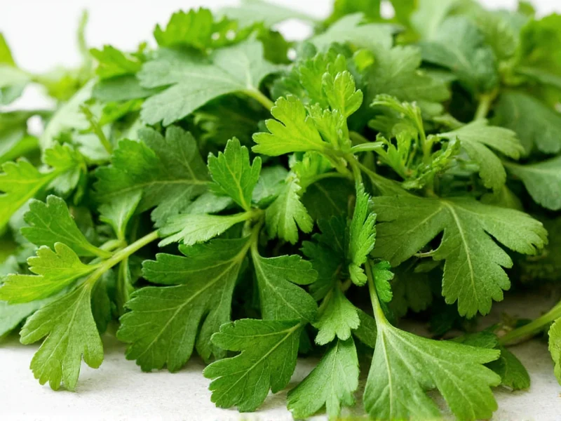 Best Substitutes for Fresh Parsley in Cooking