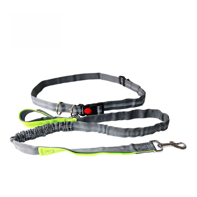 

Factory OEM Custom Logo Safety Adjustable Outdoor Walking Running Nylon Reflective Large Dog Leash