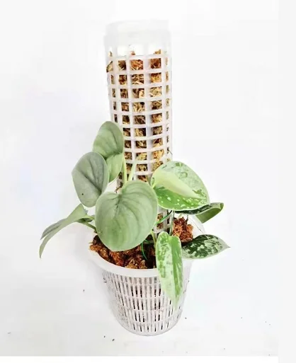 

Plastic Flower Tower Pole Pagoda PC steaming tube High-speed slot tube for planting plant pole, White/blake