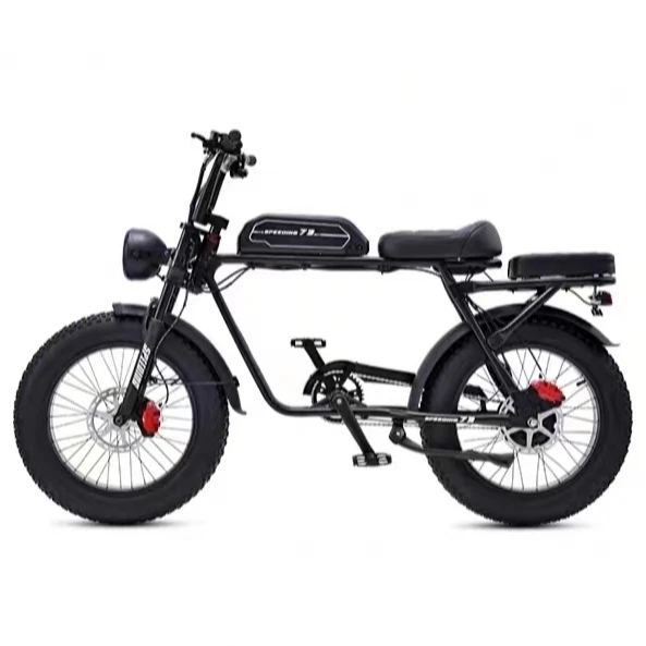 

Fat Tire Electric Bicycle 20 inches With Seat Mountain Ebike Electric Motor Bike for Wholesales emtb Bafang 750w E Bicycles