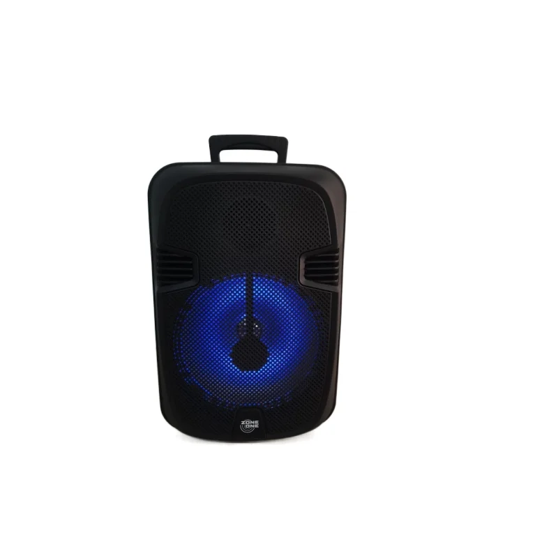 

Professional Wireless BT Audio Player Portable Manufacturer OEM Outdoor 12 Inch Karaoke Home Party DJ Trolley Speaker