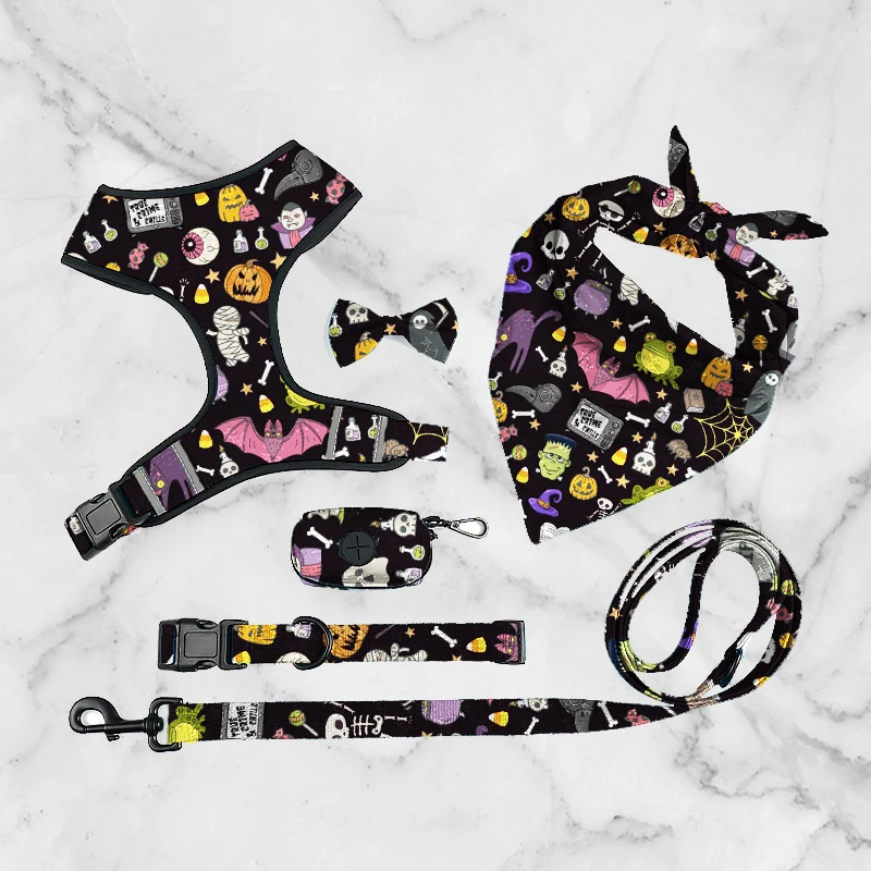 

Custom printed design adjustable Dog Harness breathable leash and collar set, Customized color