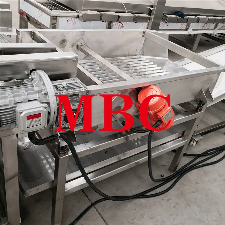  IQF frozen french fries vibrating de-water machine.jpg
