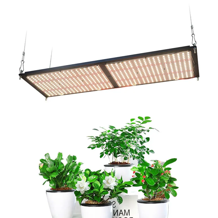 Meijiu 240W Grow Lights, Top Seller Samsung Lm301b Lm301h And 660nm Red Full Spectrum 288 240W Led Grow Light For Indoor Garden/