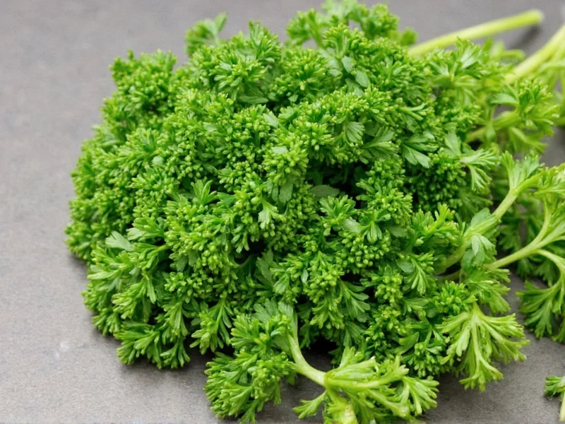 Dried Parsley to Fresh Conversion: Exact Measurement Guide