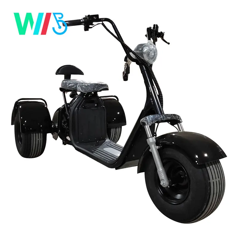 

2020 New Design Citycoco 1000W 1500W Adult Electric 3 wheel Scooters Tricycle with Removable Battery, Customized color