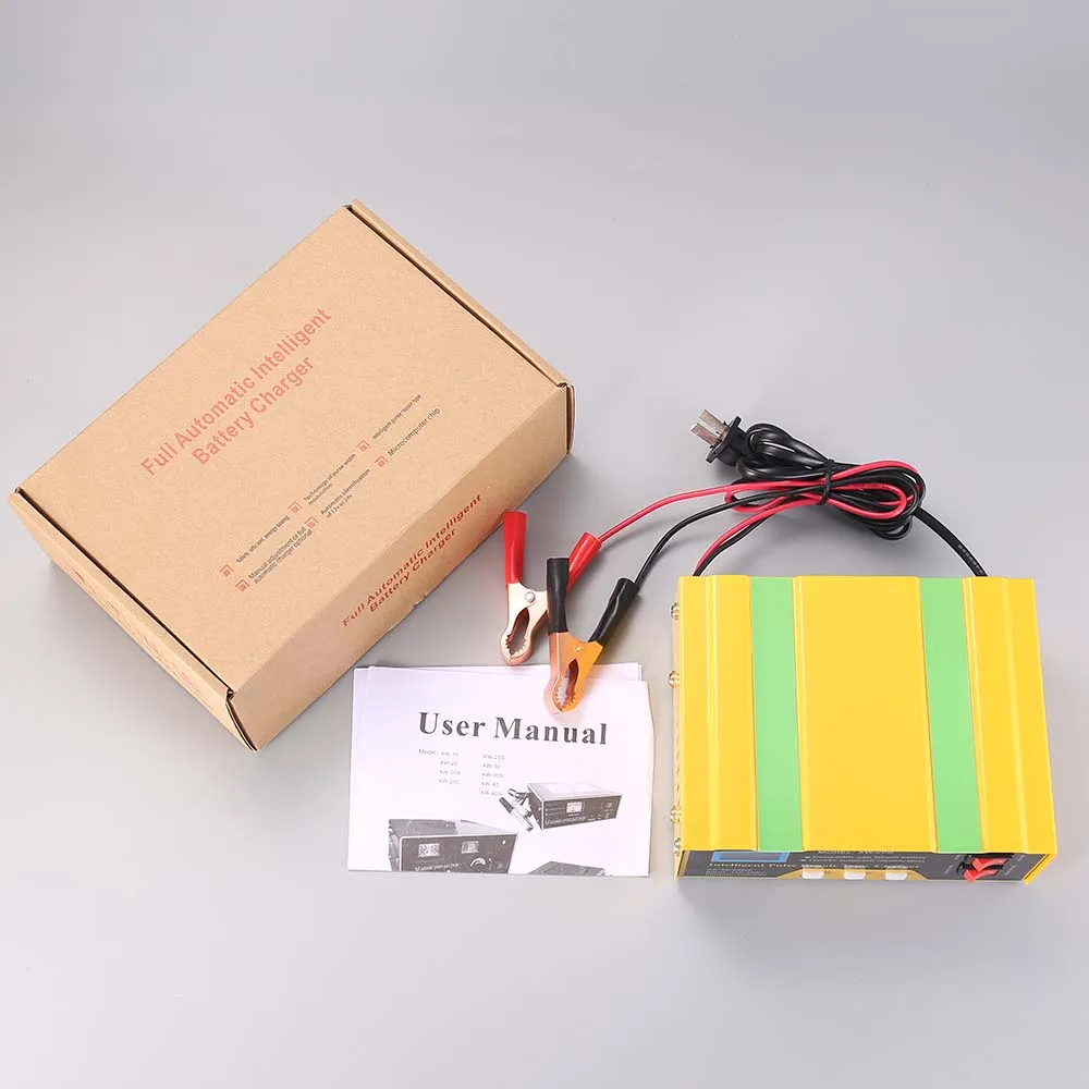 12v battery charger  (6)