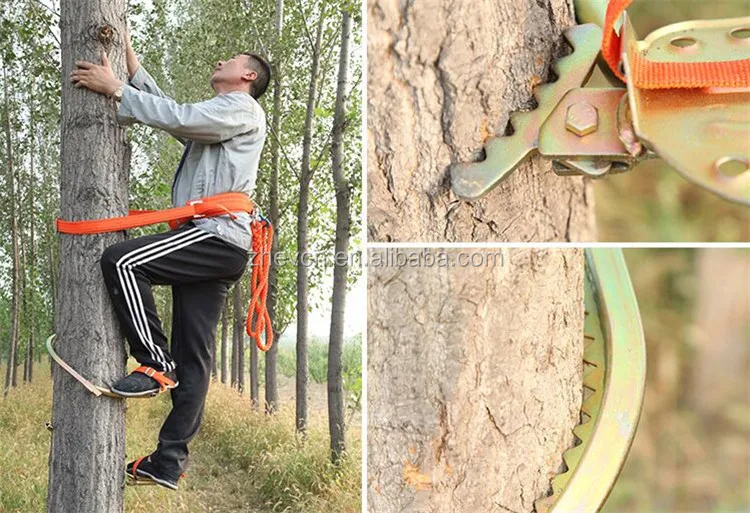 Steel Type Wooden Pole Climber Spikes For Climbing Tree Buy Marine