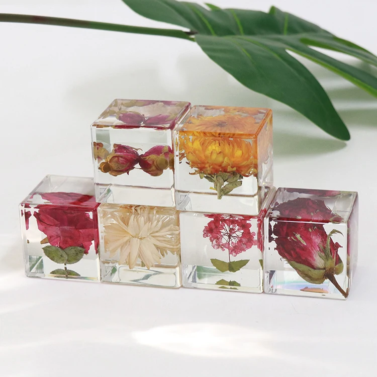 

Resin Dried Flower Shaped Transparent Teaching Tool Gift Acrylic Flower Decoration Resin Crafts