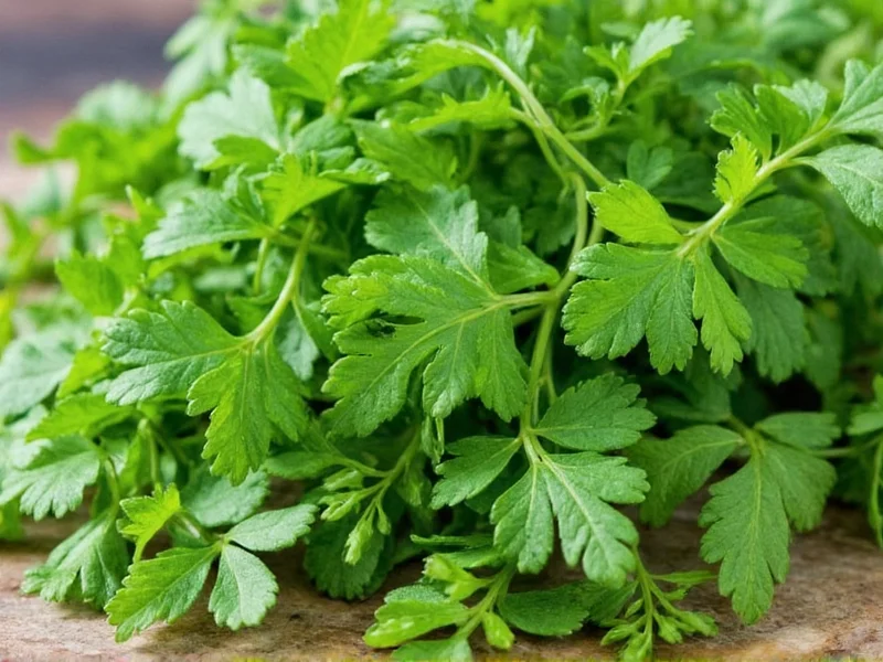Chervil Dried Herb: Complete Culinary Guide & Uses