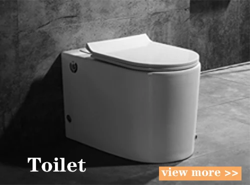 Good quality modern design P trap small ceramic wall-hung toilet details