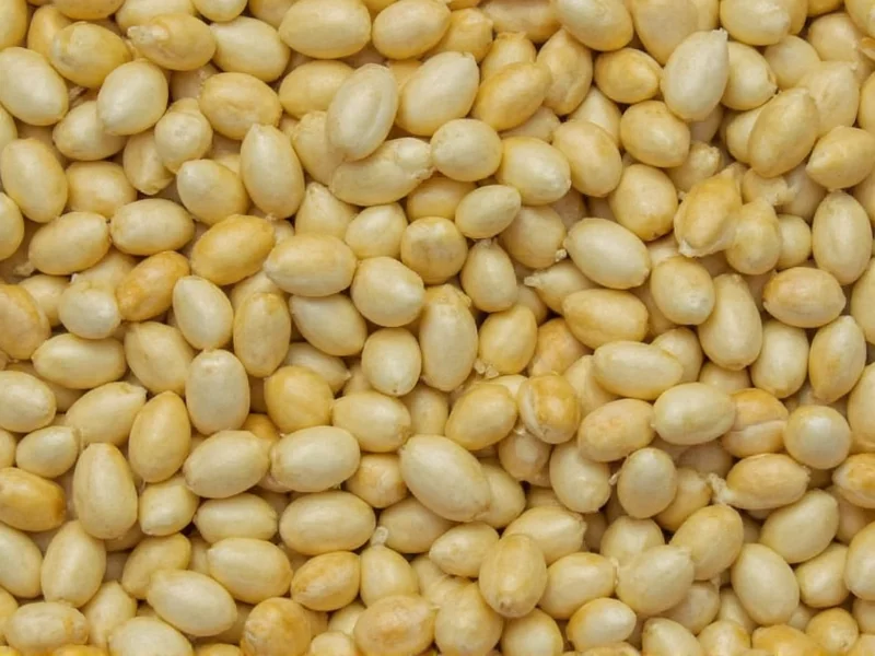 Sesame Seeds Come From Sesamum indicum Plant