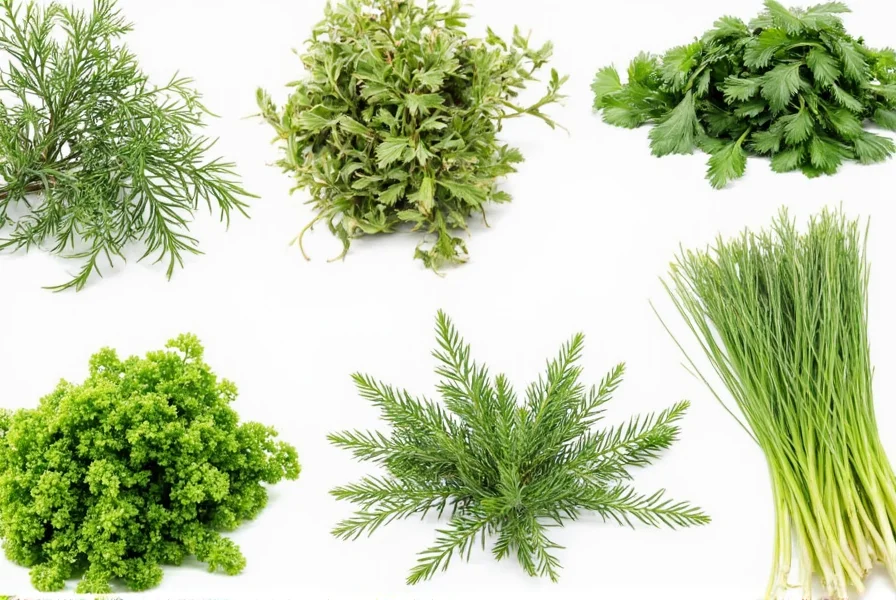 Fennel Fronds Pack